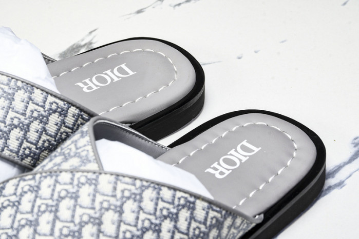 D1R* SLIDE copshoe DR-SLIDE 016